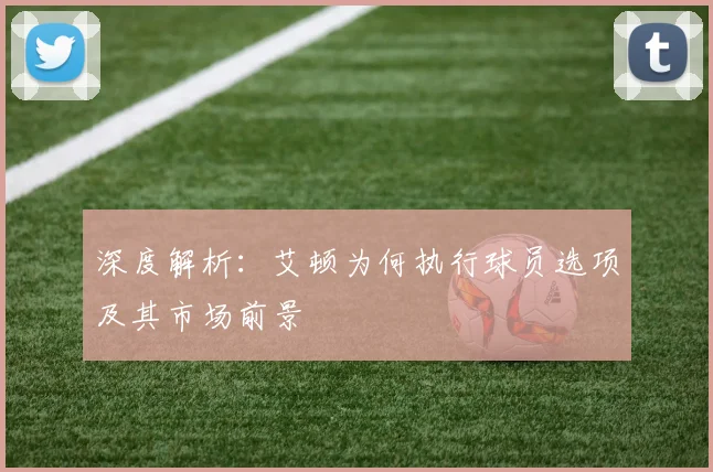 深度解析：艾顿为何执行球员选项及其市场前景
